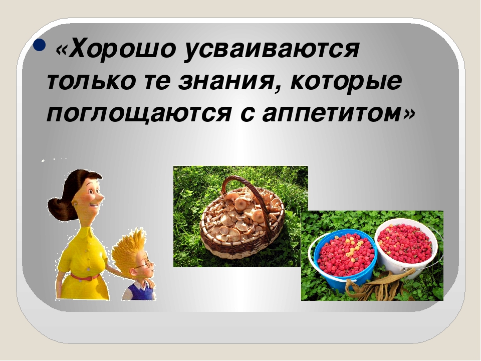 «Хорошо усваиваются только те знания, которые поглощаются с аппетитом»