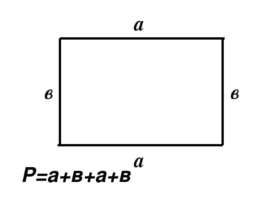 Прямоугольник 2 на 8