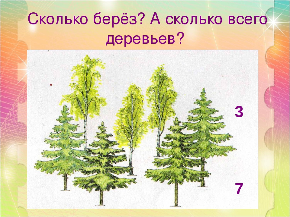 Сколько берёз? А сколько всего деревьев? 3 7